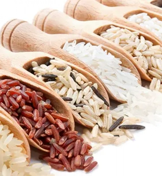 Rice Export Import